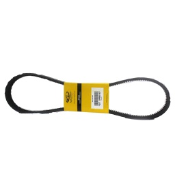 [103-GT24876] ALLIANCE BELT                           