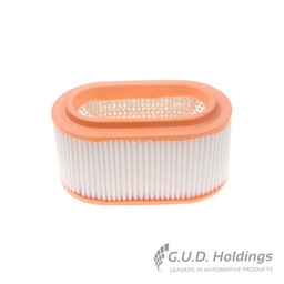 [100-AG1366] AIR FILTER HYUNDAI H100                 